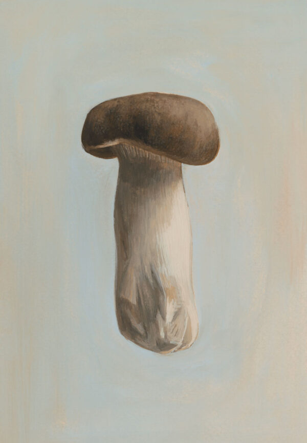 Mushroom - Art Print