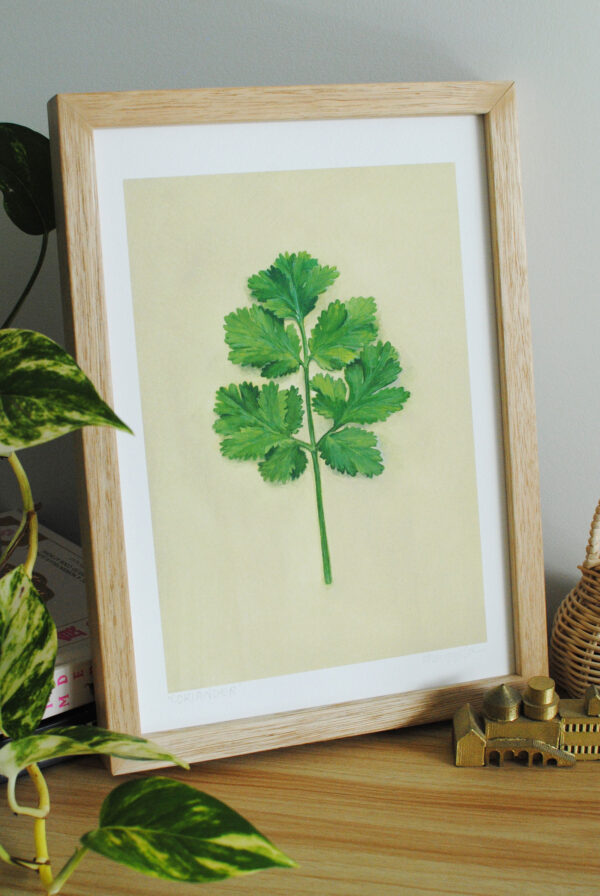 Coriander - Art Print - Image 2